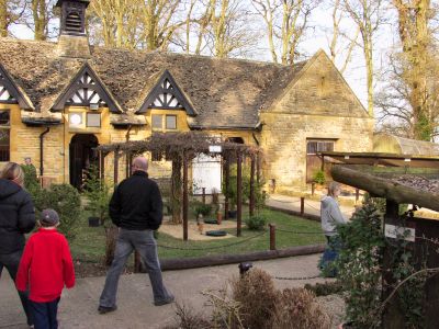 Picture of the yard at the Falconry Centre
