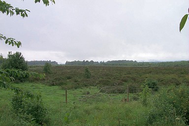 Picture of a view over Culloden Battlefield