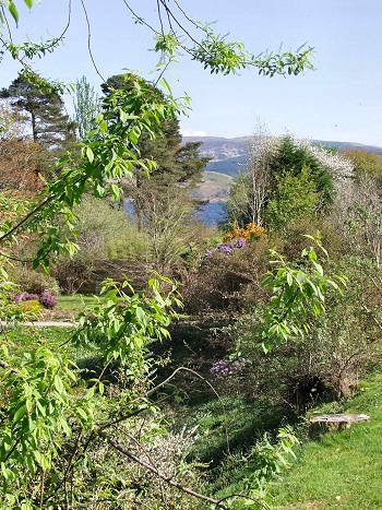 Picture of the view towards Loch Fyne