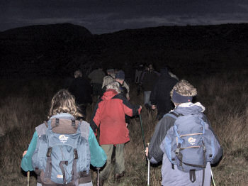 Picture of walkers walking into the darkness