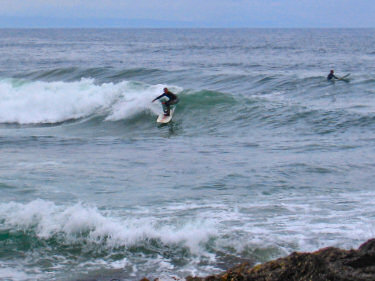 Picture of two surfers