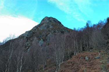 Picture of a view up a hill