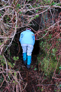Picture of the entrance to a cave