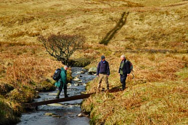 Picture of walkers using girders to cross a burn