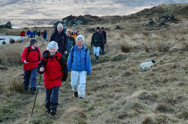 Picture of walkers on their way