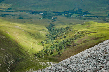 Picture of a view over a wooded glen in the sunshine